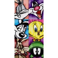 Looney Tunes Thrashsers törölköző, 70 x 140 cm